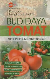 Panduan lengkap dan praktis budidaya tomat yang paling menguntungkan