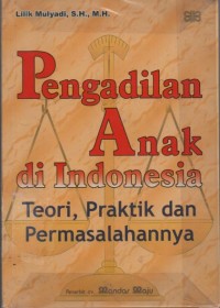 Pengadilan anak di indonesia : teori, praktik dan permasalahannya